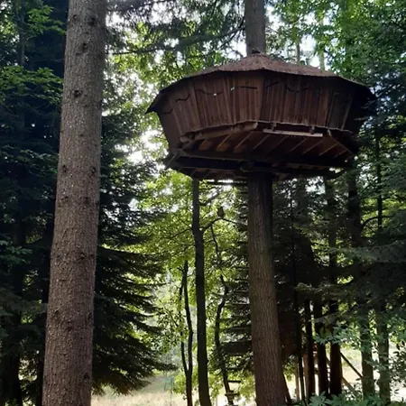 Lodge Les De Labrousse Saint-Julien-Labrousse